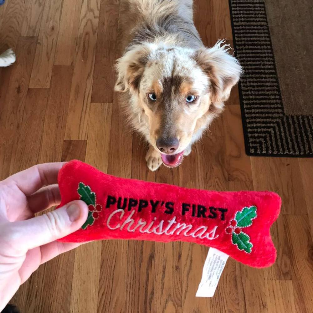 Meet your Posher, Kevin